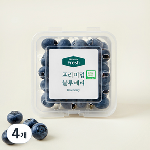 프리미엄 유기농 블루베리 대과, 100g, 4개