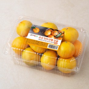 곰곰 당도선별 제주감귤, 1kg(로열과), 1개