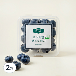 프리미엄 유기농 왕블루베리, 100g, 2개