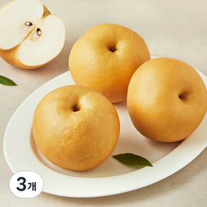 나주배원예농업협동조합 당도선별 신고배, 3개, 1.5kg(3입)