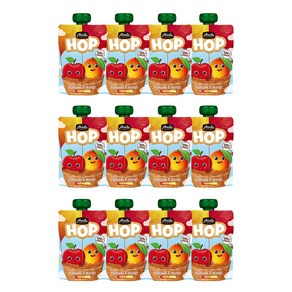 아넬라 생과일 짜먹는 외출용 아넬라 HOP, 100g, 12개, 애플망고