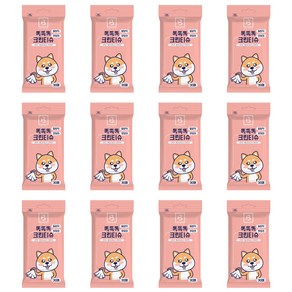 브리더랩 반려동물 똑똑똑 발바닥 엉덩이 크린 물티슈, 30개입, 12개