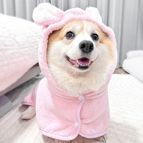 파스텔펫 반려동물 곰돌이 극세사 목욕가운, 핑크, 1개