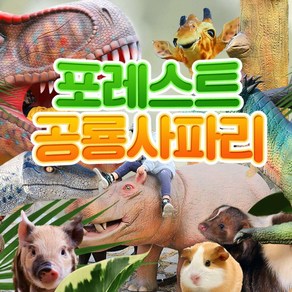 [제주] 포레스트공룡사파리