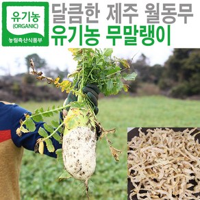 제주 월동무로 만든 최상급 제주 유기농 무말랭이, 1개, 500g