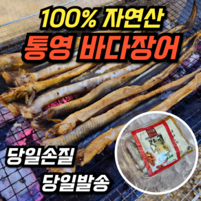 [선주직송] 자연산 통영 손질 장어 구이용 바다장어 특대 사이즈 뼈 머리 소스 2종 초생강 포함, 1개, 1kg(2~3마리)