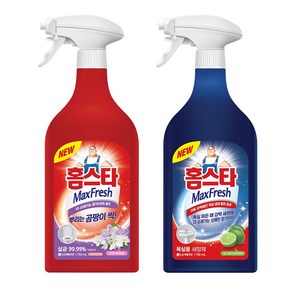 홈스타 뿌리는 [곰팡이 싹+욕실세정제] 750ml