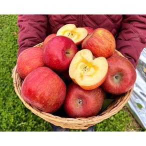 햇 부사 시골청년 사과 가정용 흠집 꿀사과 3kg 5kg, 3kg 가정용 흠집 소과, 1개