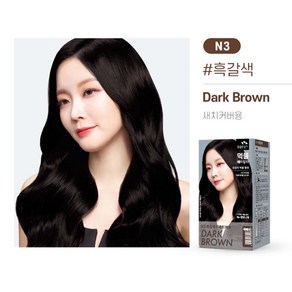 꽃을든남자 먹물 헤어칼라 대용량 200g N3(흑갈색), 4개