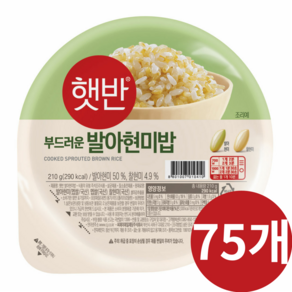 햇반 발아현미밥, 15.75kg, 1박스