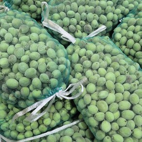[특가행사중] 당일선별 싱싱한 야생 개복숭아, 1개, 10kg