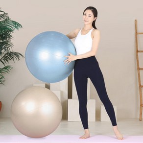 레토 안티버스트 짐볼