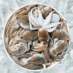 [산지직송] 국내산 급냉 쭈꾸미 제철 10미 내외, 1개, 1kg(10미 내외)
