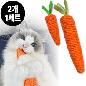 포플러 고양이 좋아하는 이갈이 장난감, 1세트, 주황