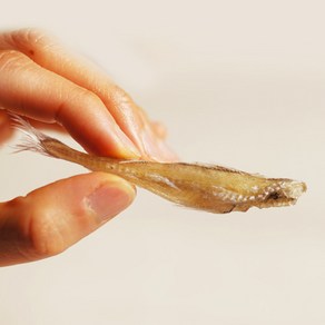 해야미 아기 앵치노가리(소소) 300g, 1개, 300