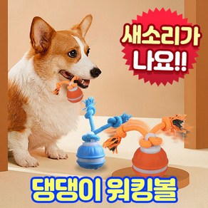 앤트앤비 댕댕이 워킹볼 자동 장난감 스마트 팻 토이 USB 충전식, 1개, 오렌지