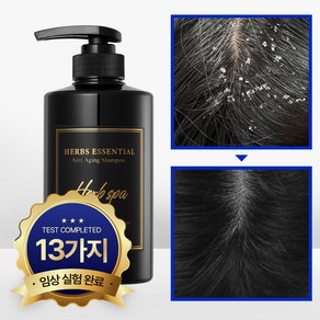 국내 유일 99.999% 비듬균 제거 스미브 허브 에센셜 비듬샴푸 500ml, 1개
