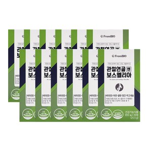 프롬바이오 관절연골엔 보스웰리아 개별인정형 비타민D 마그네슘 망간 아연 1일 섭취량 100% 본사 기획 세트, 12박스, 30정