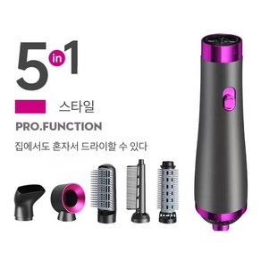 Apnoo 1600W 고출력 열풍 빗 5-in-1 직모 곱슬머리 스타일링 헤어 드라이어 무소음 음이온 헤어 드라이어, 5 in 1