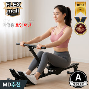 플렉스몰 로잉머신 가정용 홈트 저소음 유산소 노젓기 코어 실내 전신운동, A