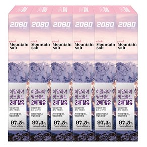 2080 핑크솔트 마운틴 퓨어 플러스 치약