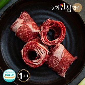 농협안심한우 1++등급 한우 불고기 600g(300g x 2팩), 1개, 600g