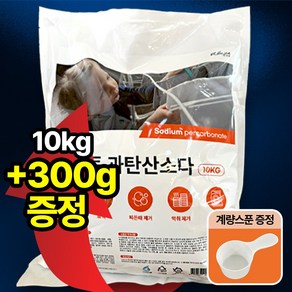 더푸룸 다용도 과탄산소다 대용량 산소계표백제