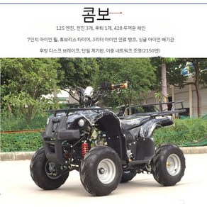 사발이 4륜구동 오토바이 ATV 짐 운반 해변 농업 125cc, 125cc 리틀 불 패키지 II