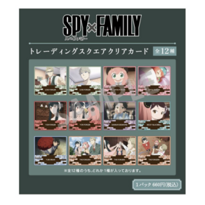 스파이패밀리 트레이딩 스퀘어 클리어카드 / SPY×FAMILY 스파패굿즈 애니굿즈 스파이패밀리카드