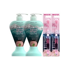 히말라야핑크솔트 펌핑치약 285g 아이스 2개 + 히말라야핑크솔트 칫솔 2개
