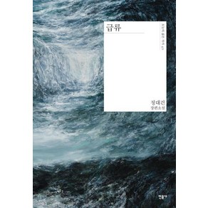 급류 - 오늘의 젊은 작가 40 (양장) - 정대건