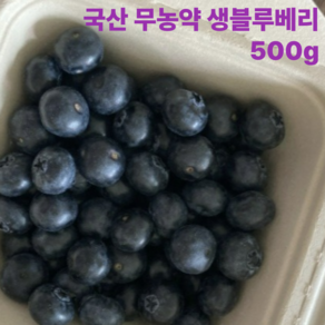 [국내산/국산] 2025년 블루베리 매일 갓 수확한 달콤하고 신선한 무농약 생블루베리 햇블루베리 생과, 1개, 500g