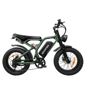 이지베이션 BS슬릭 전기자전거 850W 48V 펫바이크 배달용자전거 레저용