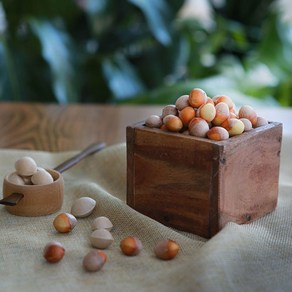 햇은행 깐은행 (대)300g, 1개