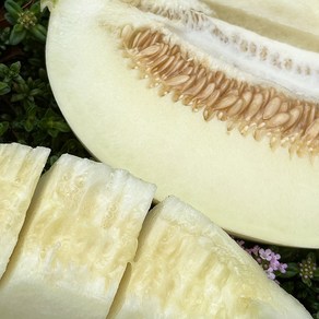 경북고령 고당도 멜론 달콤한 파파야 설향 메론 2kg 3kg 5kg, 2kg (3-6과), 1개