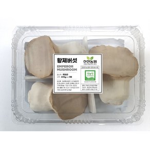 (국내산 조각브로콜리 300g 증정) 명품 프리미엄 무농약 황제버섯 600g 내외 (3입), 1개