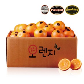 블랙라벨 오렌지 고당도 네이블 11brix이상 당도선별, 1세트, 230g(대과), 25과