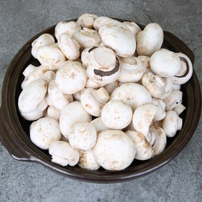 전대표 부여 못난이 양송이버섯 산지직송 ugly white button mushroom, 1개, 2kg