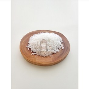음식모형 가짜쌀 쌀 쌀알 밥알 밥풀 인조 곡물 가짜 곡식 플리스틱쌀 50g