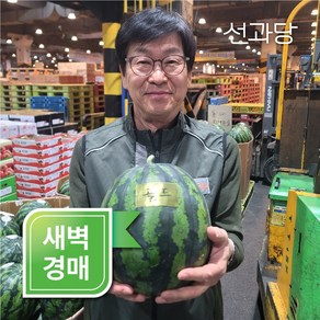 새벽경매 당도선별 프리미엄 1등급 수박, 1박스, 당도선별 프리미엄 수박 7kg