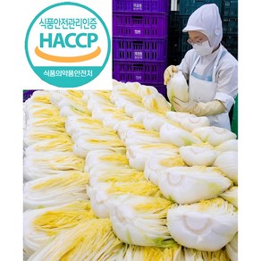 (두메)강원도 고랭지 절임배추 HACCP인증 월 화 수 목 출고 5키로 10키로 20키로, 1개, 20kg