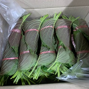국내산 깻잎 30묶음 1kg 내외, 30개