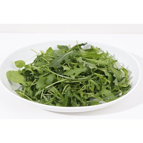 쉐프의정원 와일드 루꼴라, 500g, 1개