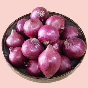 신선 샬롯 모충 1KG 미니 shallot 신수코리아, 1개