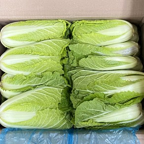 국내산 얼갈이배추 얼갈이 배추, 1박스, 4kg