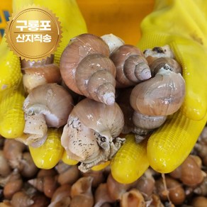 [산지직송] 당일조업 쫄깃하고 담백한 백골뱅이, 1개, 1kg 중소믹스 (40미 내외)