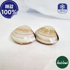 냉동 백합조개 해감 백합 탕 파스타 봉골레 (40/60), 1개, 1kg
