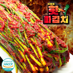 오마이찬 매운 실비파김치 - 전라도식 당일제조 불맛 가득 파김치, 1개, 1.5kg