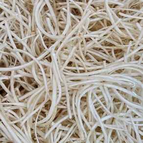 [미들찬] 국산 24년 햇우엉 당일공정 우엉채 우엉실채(가늘게채썬우엉) 500g 1kg, 우엉(채)  500g, 1개