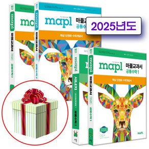 2025 마플